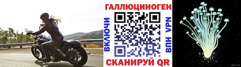 Галлюциногенные грибы прущие грибы  Уварово 