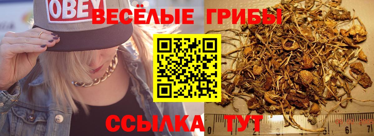 Галлюциногенные грибы мицелий  Вход с VPN  Уварово  Псилоцибиновые грибы Psilocybine cubensis 